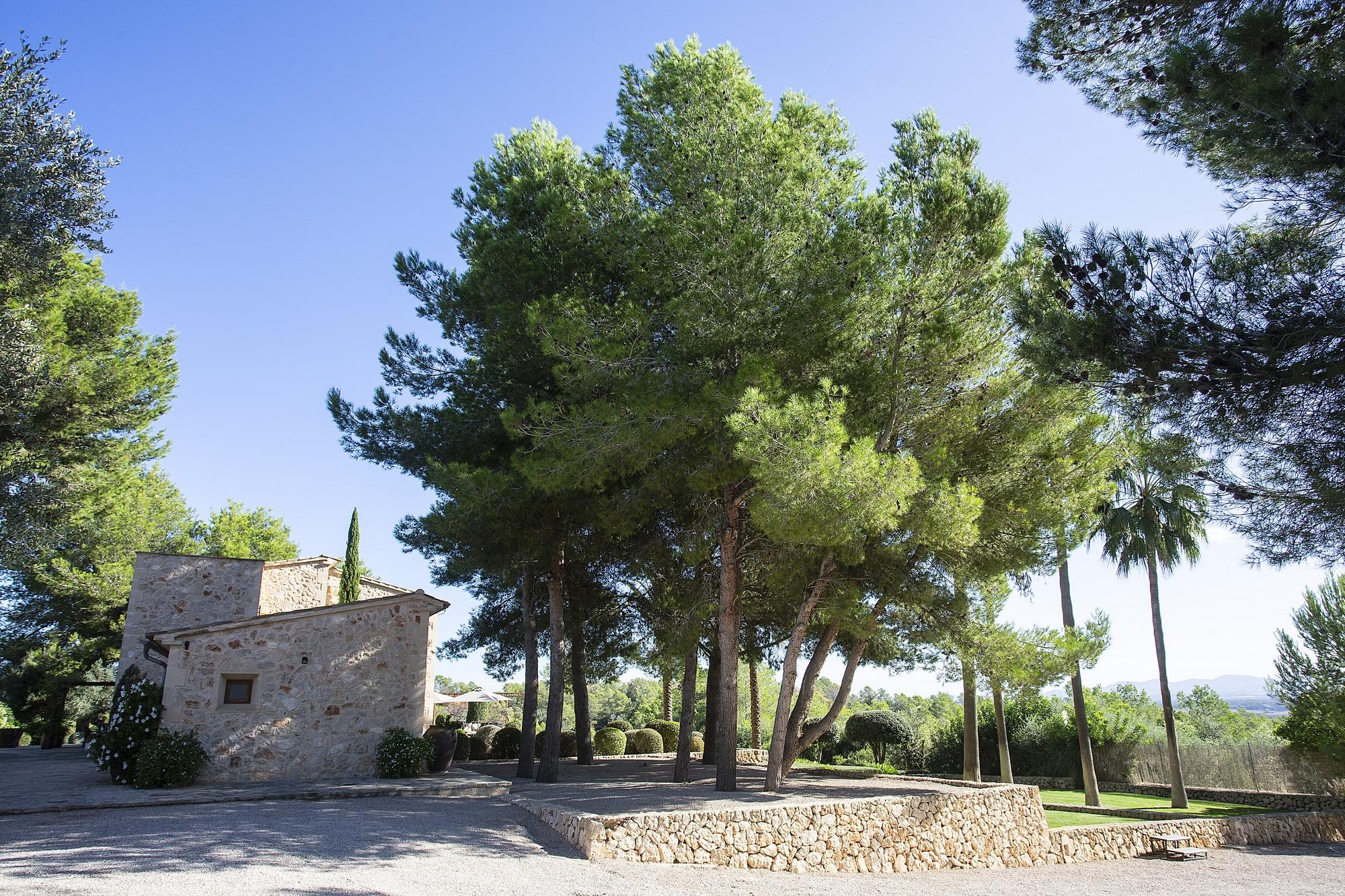 Finca Son Dagueta - Image# 10