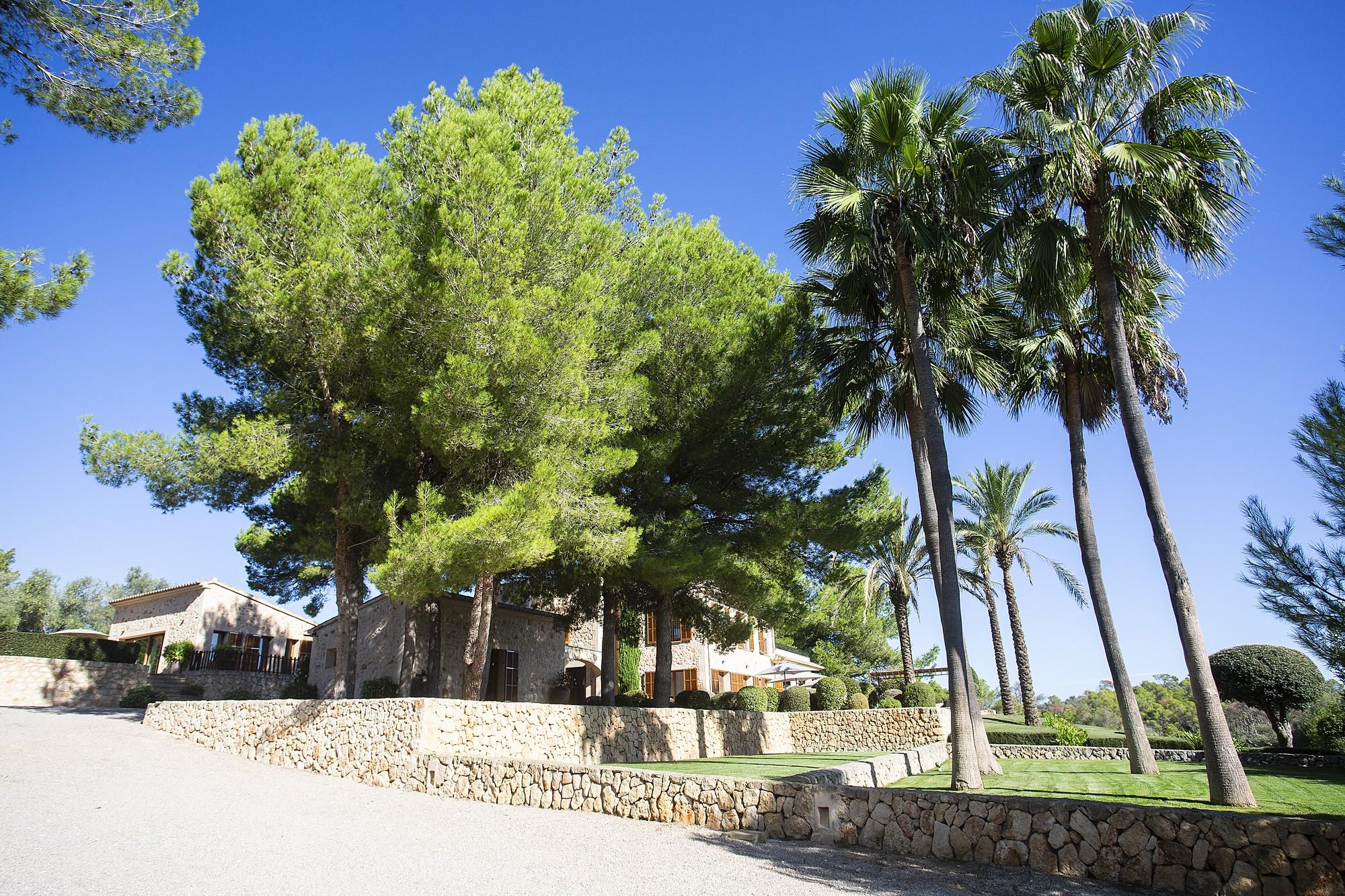 Finca Son Dagueta - Image# 11