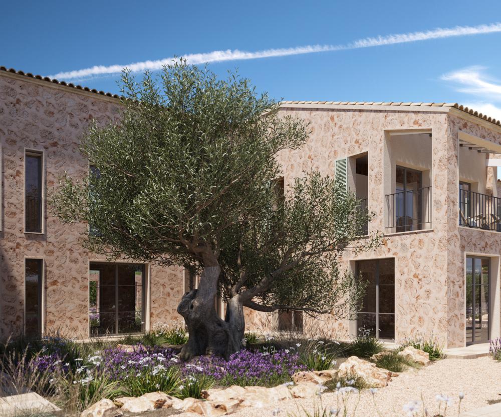 Finca Sa Bassa - Image# 3